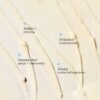 DISCOVERY AGELESS+ Retinolivoide 0,3 %
